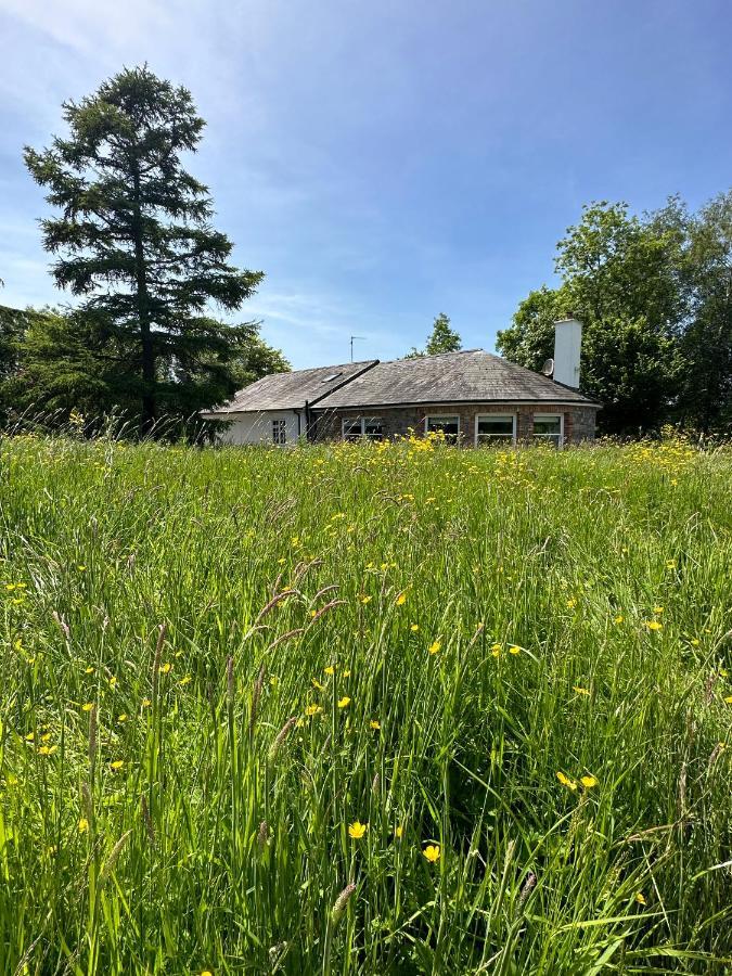 Balsoon Lodge Navan Exteriér fotografie